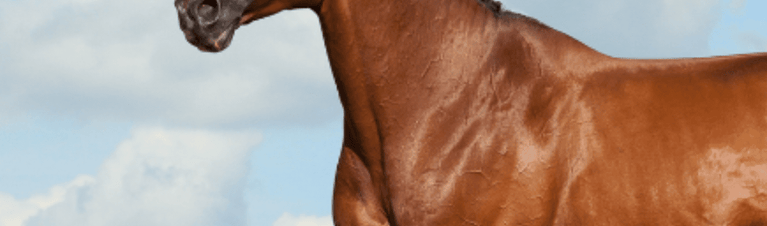 See the Max-E-Glo® Difference