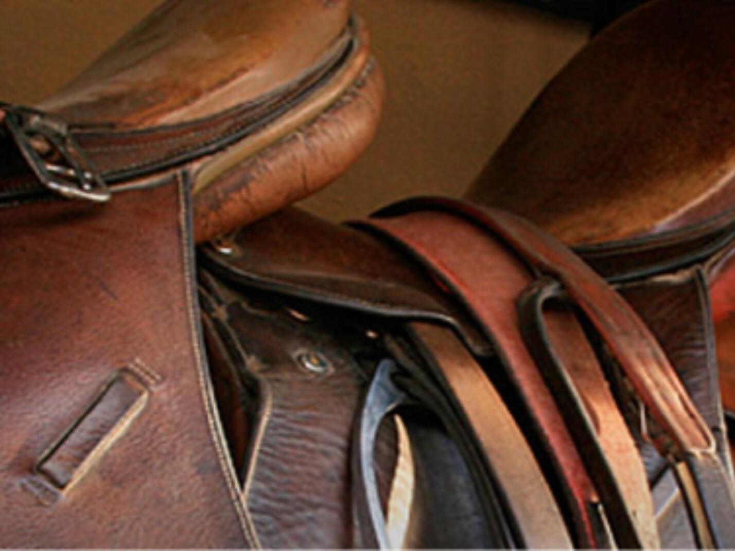Busting the Saddle Soap Myth | MannaPro Busting the Saddle Soap Myth | MannaPro