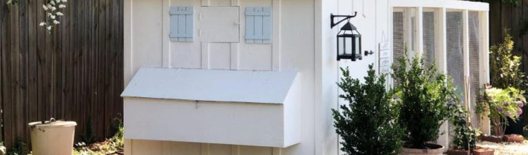 Moving Your Chicken Coop and Backyard Chickens to a New Home