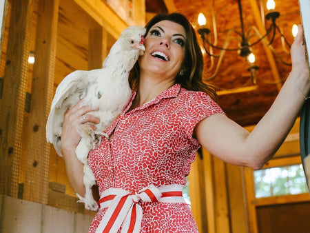 Chicken Coop Designs – The Story of Cutest Coops