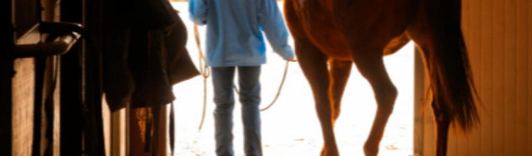 5 Tips for a Dry Barn and Healthy Horses
