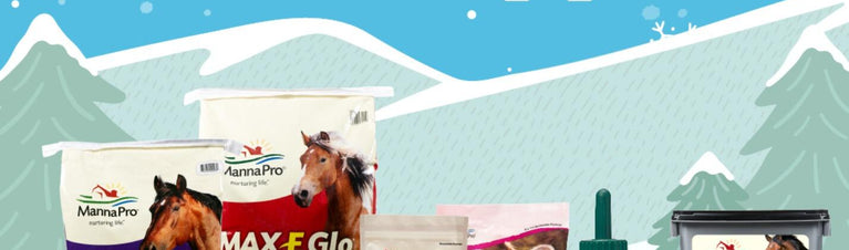 How to Help Your Horse Thrive in the Winter