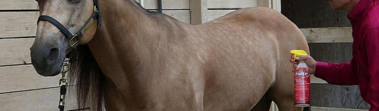 The Most Common Equine Fly Spray Mistakes