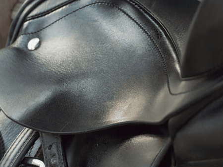 Equestrian Leather Care Do’s and Don’ts