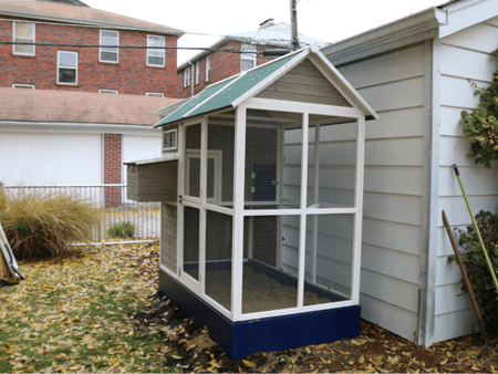 City Chicken Guide: Chicken Coop Ideas and Advice from an Expert on Backyard Chickens