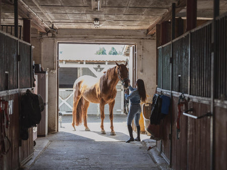 Spring Horse Care Tips: Organize Your Barn like a Pro