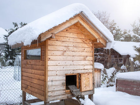 Winter Chicken Coop Preparation