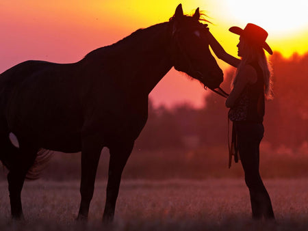 Things You Can Do with Your Horse (Besides Horseback Riding)