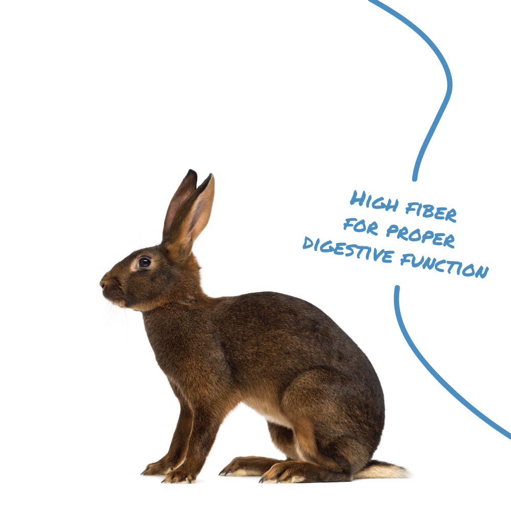Select Series® PRO Formula Rabbit Feed | MannaPro