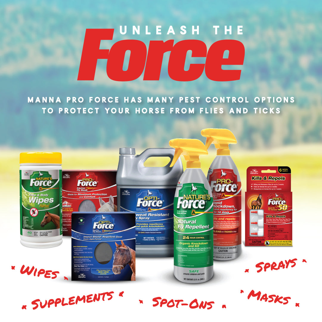 Pro-Force® Fly Spray | MannaPro
