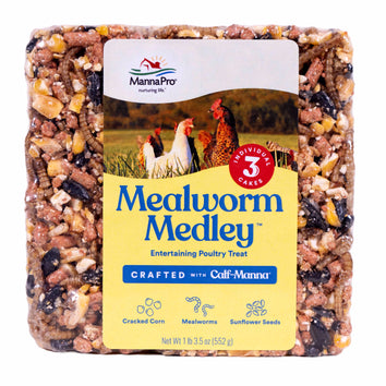 Mealworm Medley™ Cake