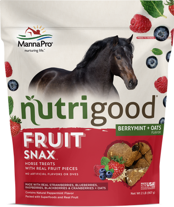 Nutrigood™ FruitSnax BerryMint & Oats