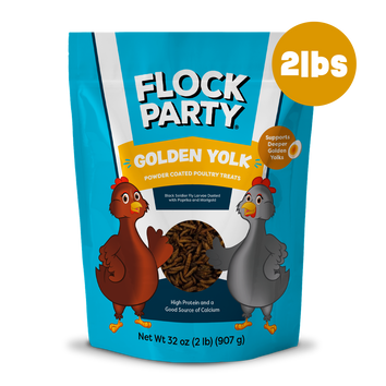 Flock Party® Golden Yolk