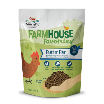 Farmhouse Favorites Feather Flair