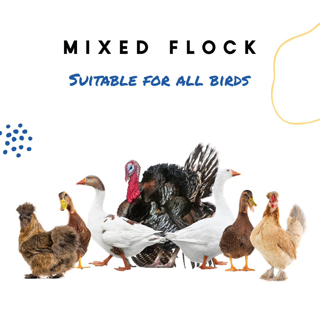 Poultry Grit | MannaPro