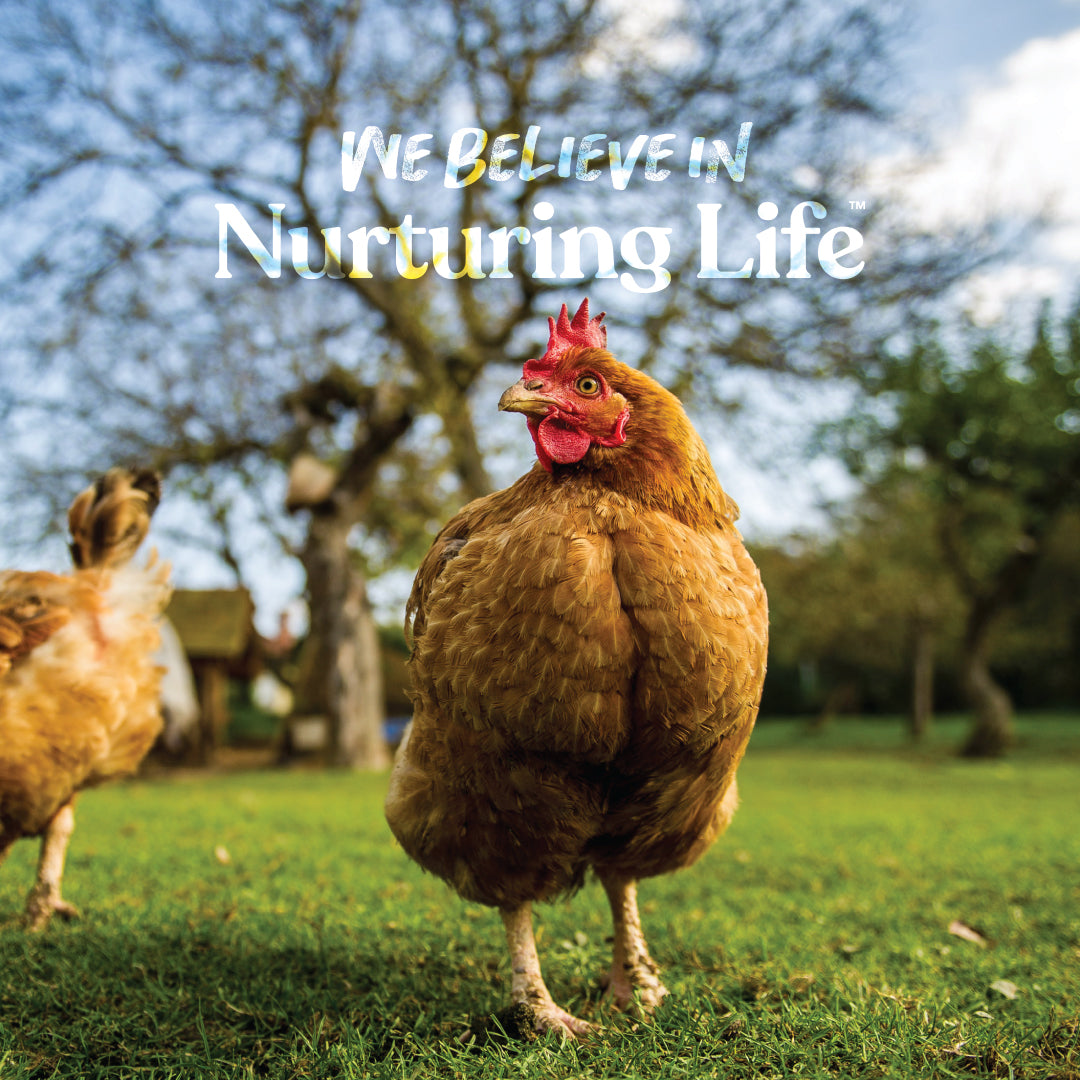 Poultry Grit | MannaPro