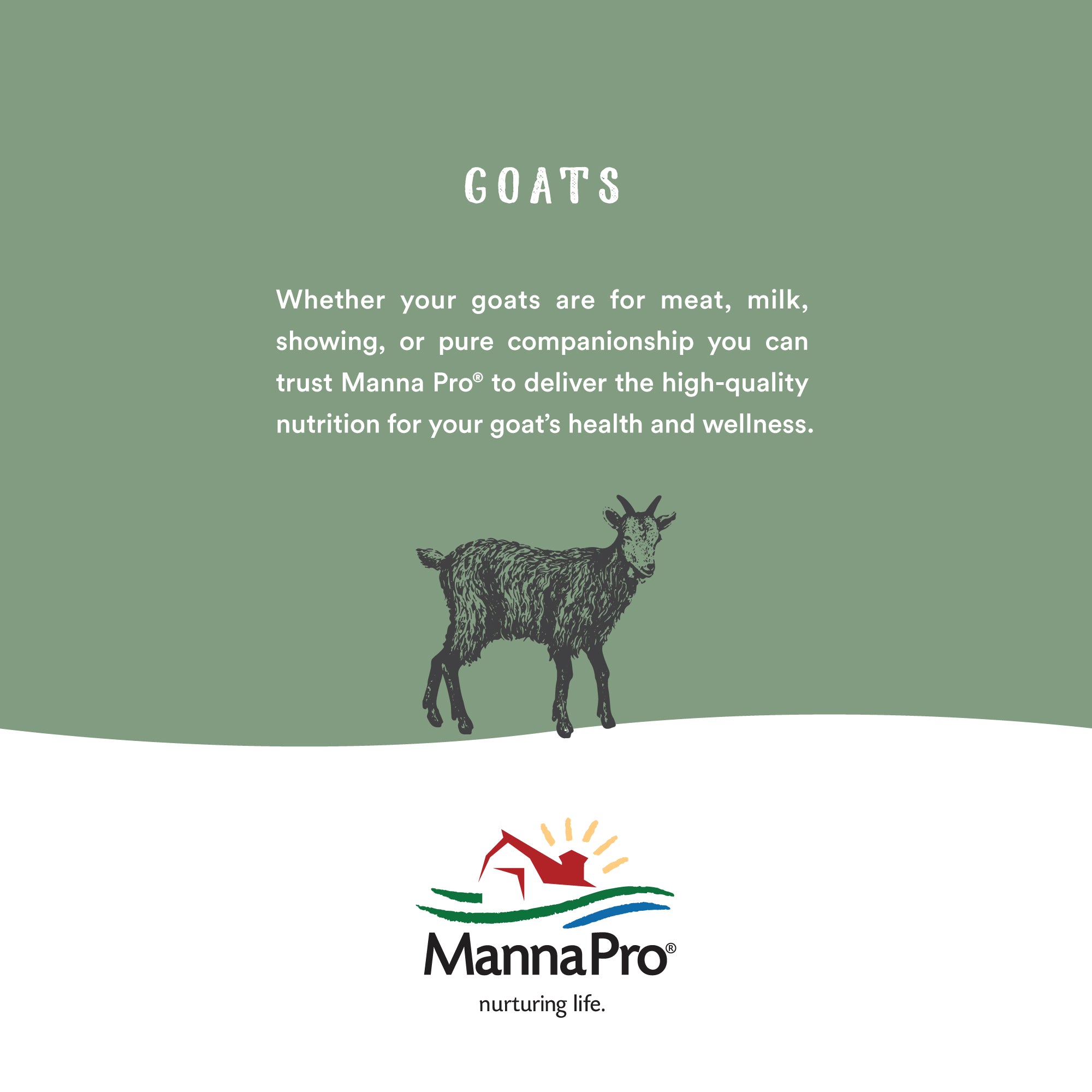 Lamb Milk Replacer with Probiotics | MannaPro