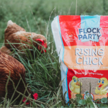 Flock Party | Manna Pro