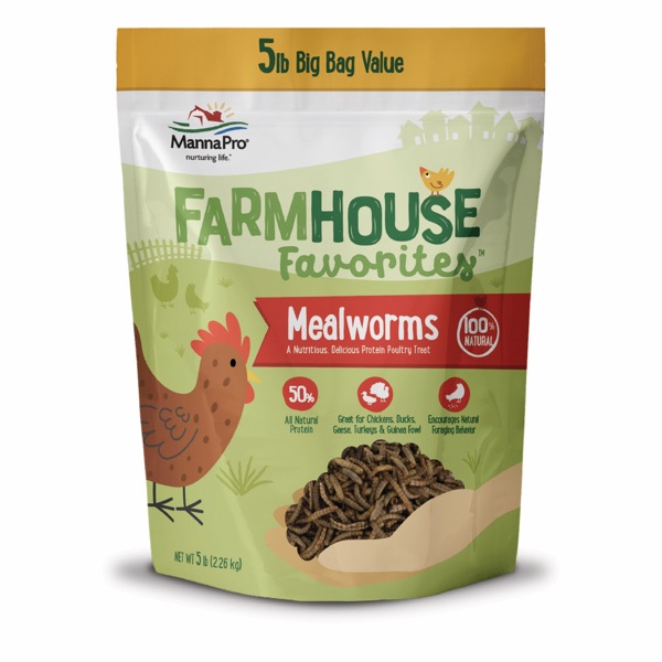 Mealworms 5lb