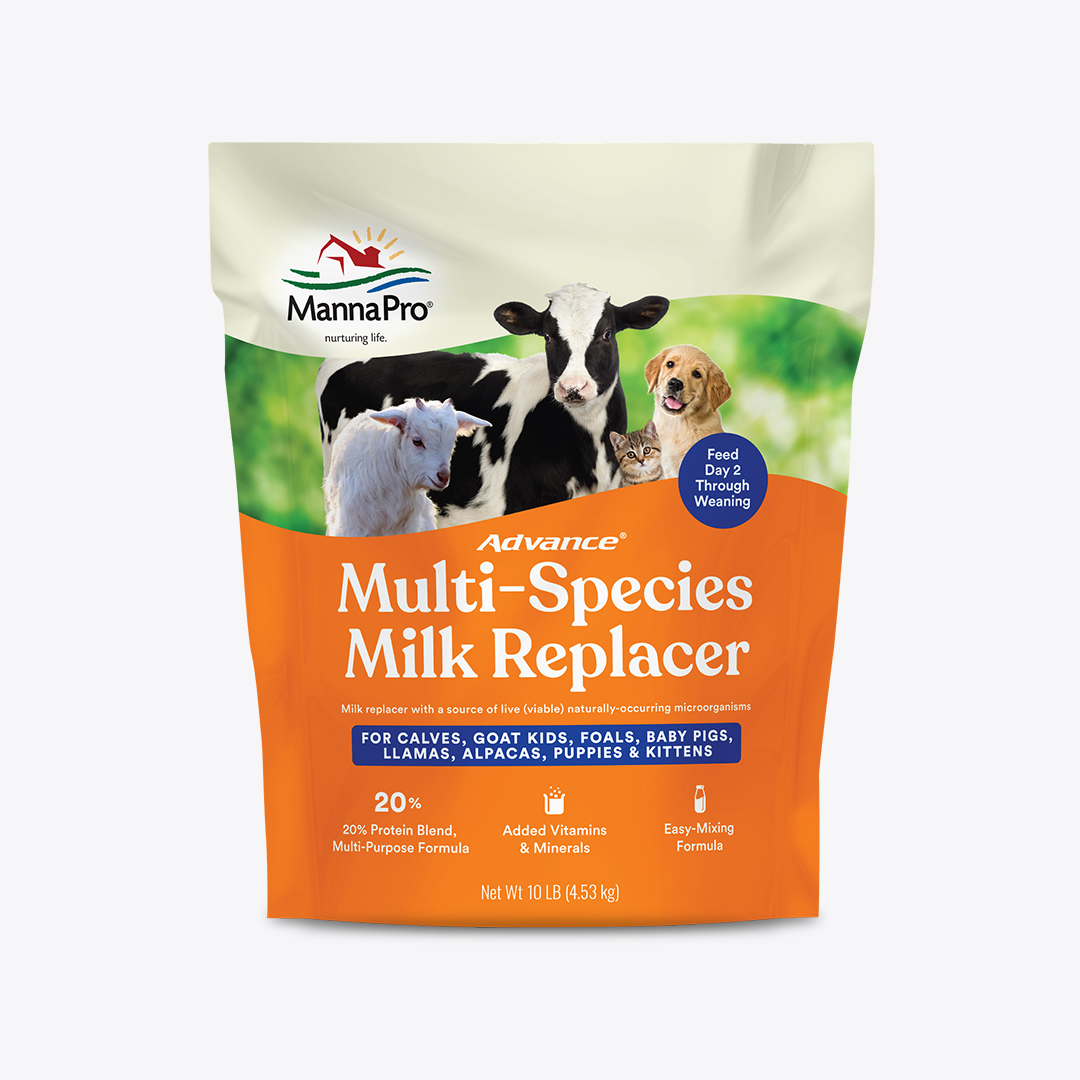 What Is A Milk Replacer For Puppies